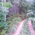 Советск-Атарская Лука/Поющие пески