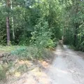Советск-Атарская Лука/Поющие пески